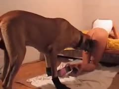 Never previous to seen messy college-aged tramp engaging in beastiality in this blowjob movie